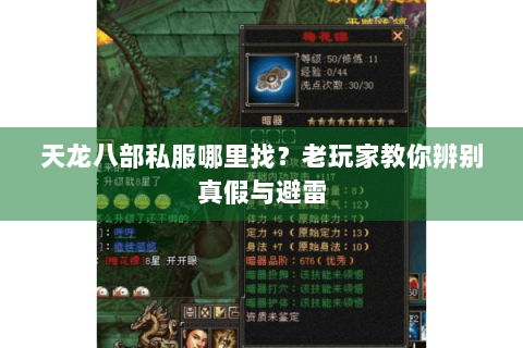 天龙八部私服哪里找？老玩家教你辨别真假与避雷