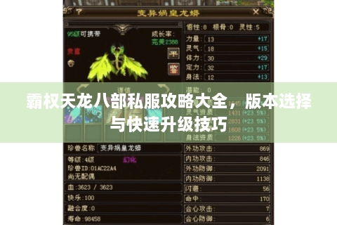 霸权天龙八部私服攻略大全，版本选择与快速升级技巧