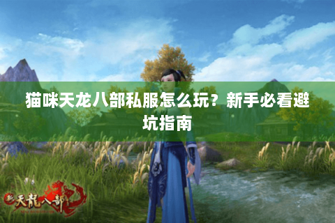 猫咪天龙八部私服怎么玩？新手必看避坑指南