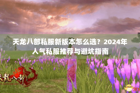 天龙八部私服新版本怎么选？2024年人气私服推荐与避坑指南