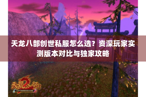 天龙八部创世私服怎么选？资深玩家实测版本对比与独家攻略