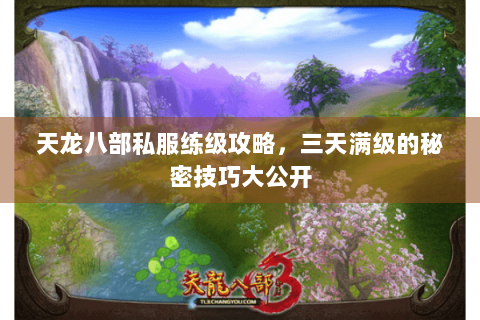 天龙八部私服练级攻略，三天满级的秘密技巧大公开