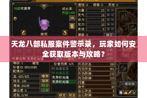 天龙八部私服案件警示录，玩家如何安全获取版本与攻略？
