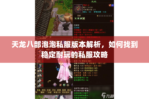 天龙八部泡泡私服版本解析，如何找到稳定耐玩的私服攻略