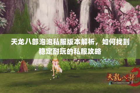 天龙八部泡泡私服版本解析，如何找到稳定耐玩的私服攻略