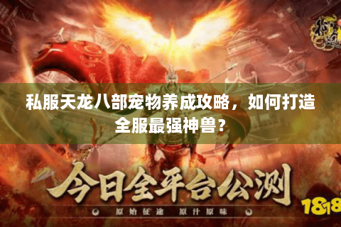 私服天龙八部宠物养成攻略，如何打造全服最强神兽？