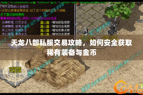 天龙八部私服交易攻略，如何安全获取稀有装备与金币
