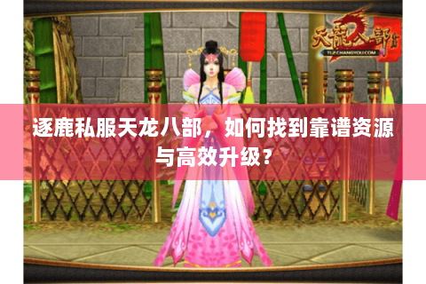 逐鹿私服天龙八部，如何找到靠谱资源与高效升级？
