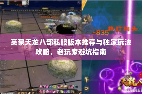 英豪天龙八部私服版本推荐与独家玩法攻略，老玩家避坑指南