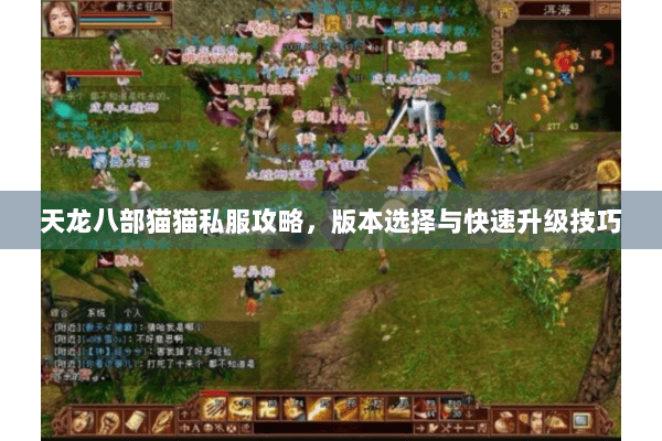 天龙八部猫猫私服攻略，版本选择与快速升级技巧