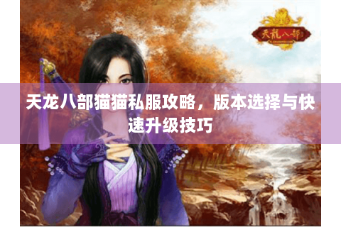 天龙八部猫猫私服攻略，版本选择与快速升级技巧