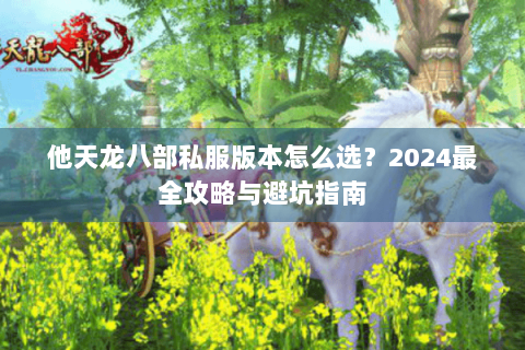 他天龙八部私服版本怎么选？2024最全攻略与避坑指南