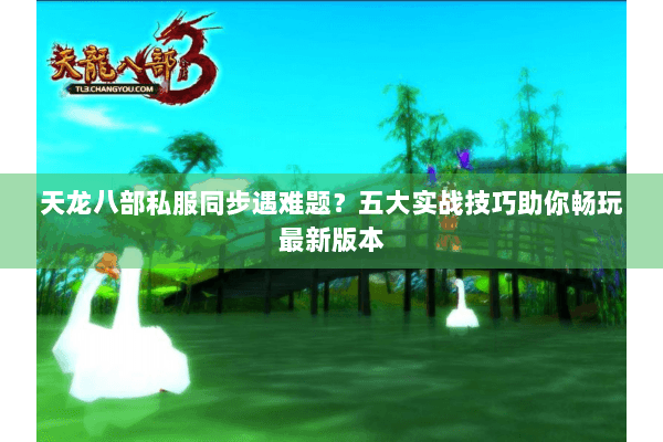 天龙八部私服同步遇难题？五大实战技巧助你畅玩最新版本