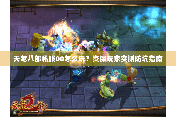 天龙八部私服00怎么玩？资深玩家实测防坑指南
