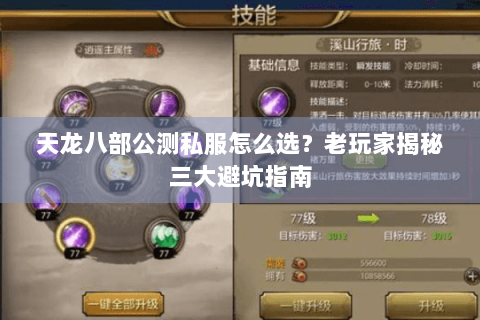 天龙八部公测私服怎么选？老玩家揭秘三大避坑指南