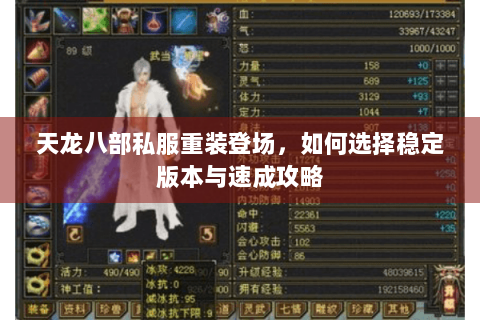 天龙八部私服重装登场，如何选择稳定版本与速成攻略