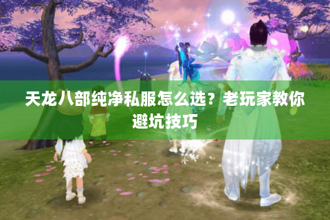 天龙八部纯净私服怎么选？老玩家教你避坑技巧