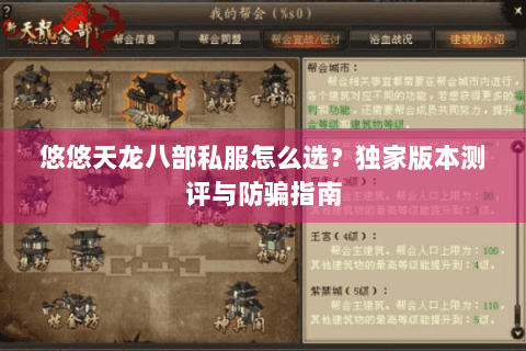 悠悠天龙八部私服怎么选？独家版本测评与防骗指南