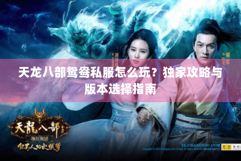 天龙八部鸳鸯私服怎么玩？独家攻略与版本选择指南