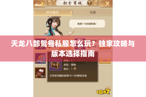 天龙八部鸳鸯私服怎么玩？独家攻略与版本选择指南