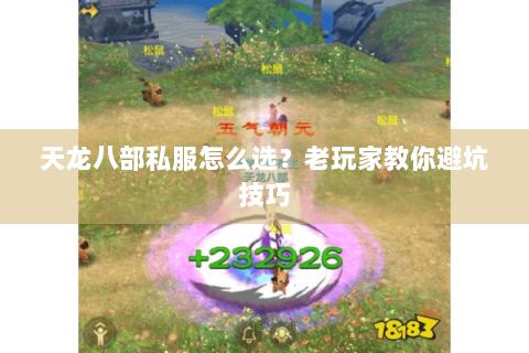 天龙八部私服怎么选？老玩家教你避坑技巧