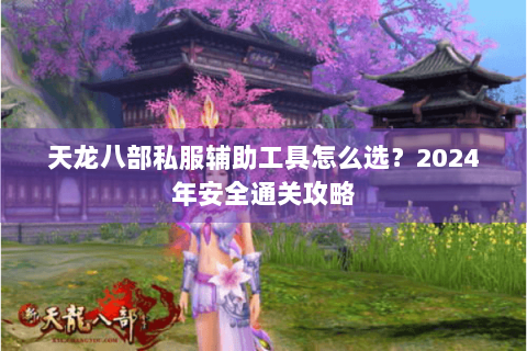 天龙八部私服辅助工具怎么选？2024年安全通关攻略