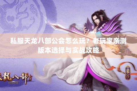 私服天龙八部公会怎么玩？老玩家亲测版本选择与实战攻略