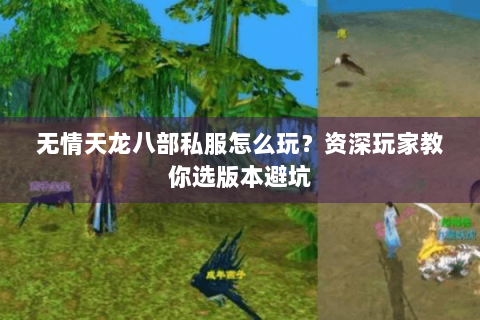 无情天龙八部私服怎么玩？资深玩家教你选版本避坑
