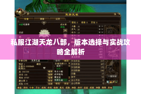 私服江湖天龙八部，版本选择与实战攻略全解析