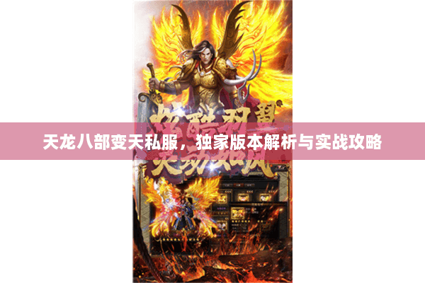 天龙八部变天私服，独家版本解析与实战攻略