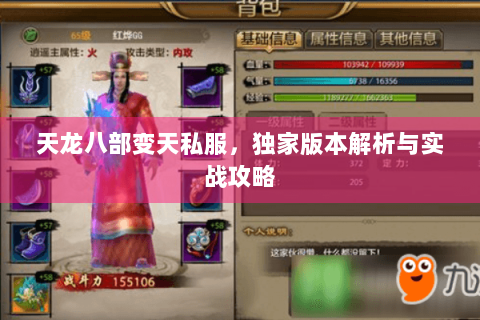 天龙八部变天私服，独家版本解析与实战攻略