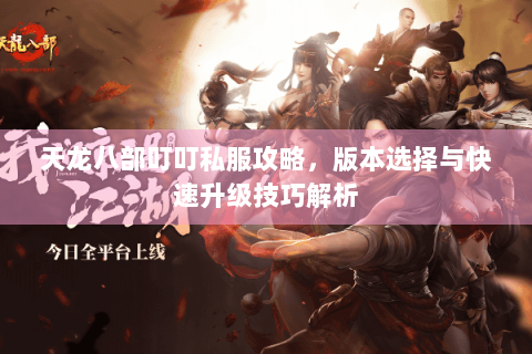 天龙八部叮叮私服攻略，版本选择与快速升级技巧解析