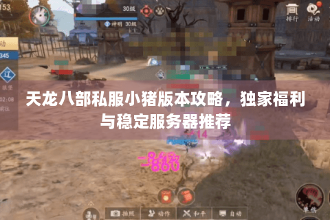 天龙八部私服小猪版本攻略，独家福利与稳定服务器推荐