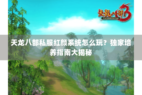 天龙八部私服红颜系统怎么玩？独家培养指南大揭秘