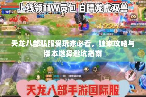 天龙八部私服爱玩家必看，独家攻略与版本选择避坑指南
