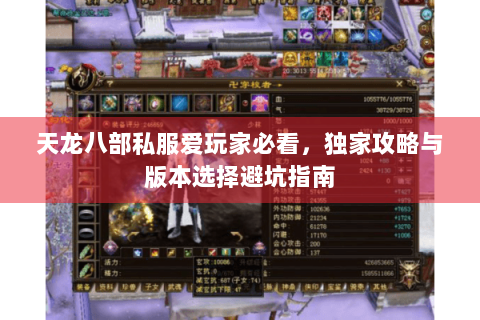 天龙八部私服爱玩家必看，独家攻略与版本选择避坑指南