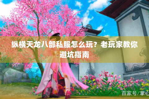 纵横天龙八部私服怎么玩？老玩家教你避坑指南