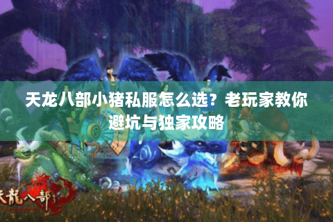 天龙八部小猪私服怎么选？老玩家教你避坑与独家攻略
