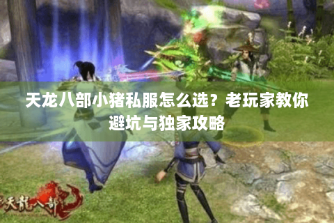 天龙八部小猪私服怎么选？老玩家教你避坑与独家攻略