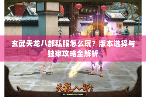 玄武天龙八部私服怎么玩？版本选择与独家攻略全解析