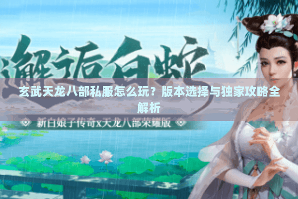 玄武天龙八部私服怎么玩？版本选择与独家攻略全解析