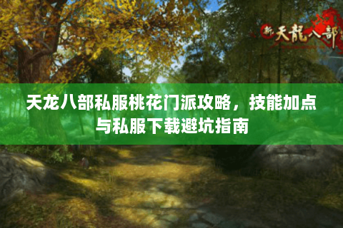 天龙八部私服桃花门派攻略，技能加点与私服下载避坑指南