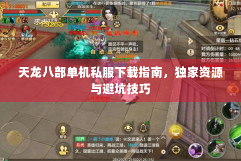 天龙八部单机私服下载指南，独家资源与避坑技巧