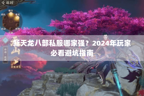 新天龙八部私服哪家强？2024年玩家必看避坑指南