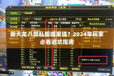 新天龙八部私服哪家强？2024年玩家必看避坑指南