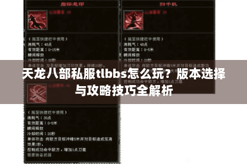 天龙八部私服tlbbs怎么玩？版本选择与攻略技巧全解析