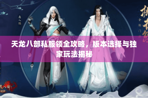 天龙八部私服领全攻略，版本选择与独家玩法揭秘