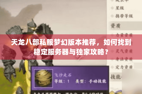 天龙八部私服梦幻版本推荐，如何找到稳定服务器与独家攻略？