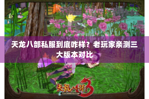 天龙八部私服到底咋样？老玩家亲测三大版本对比