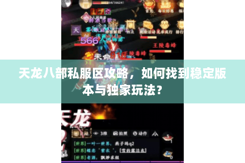 天龙八部私服区攻略，如何找到稳定版本与独家玩法？
